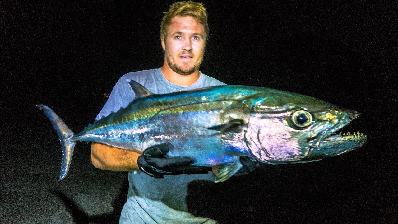 衝撃映像 マグロの心臓を生で丸飲み 日本のワイルドな姿 世界の反応